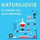 Hvad er en exoplanet?