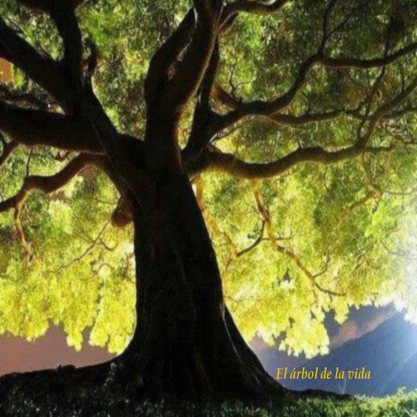 Podcast El árbol de la vida