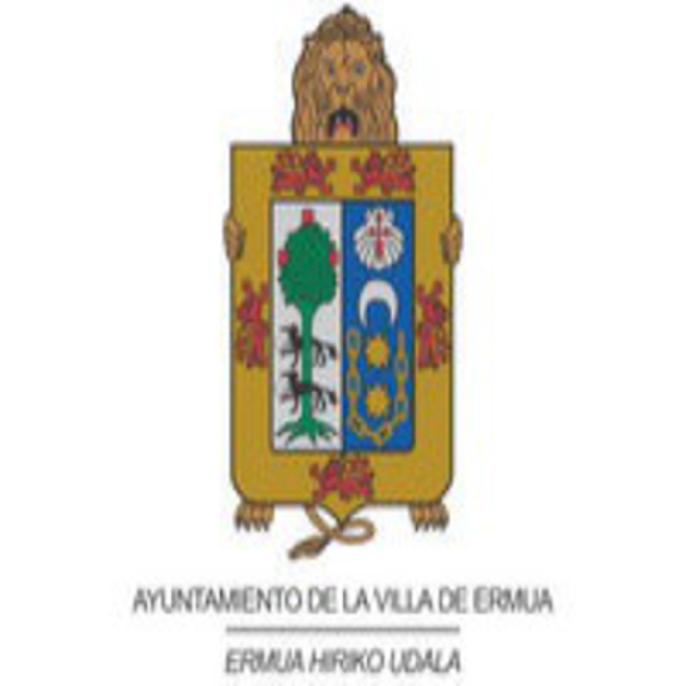Sesiones plenarias