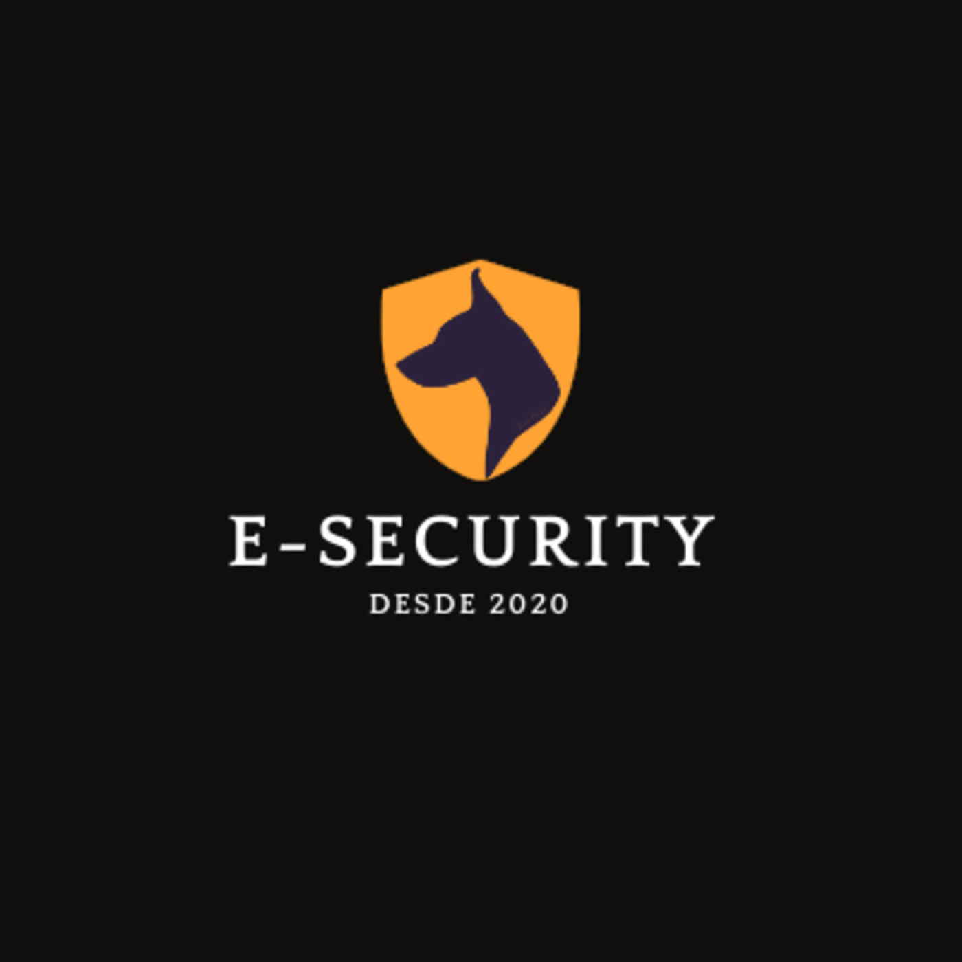 E-Security