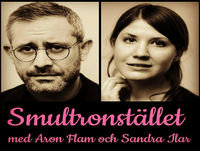 99: Mer regeringsbildning
