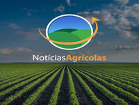 Entrevista com Luiz Carlos Carvalho - Presidente da Abag e da Canaplan