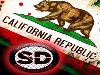 Split Decision MMA