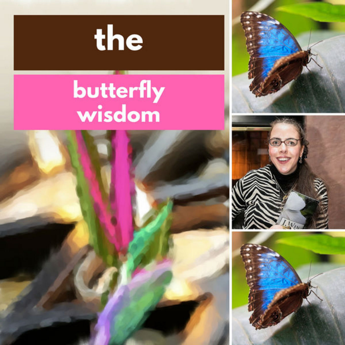 Butterflies of Wisdom