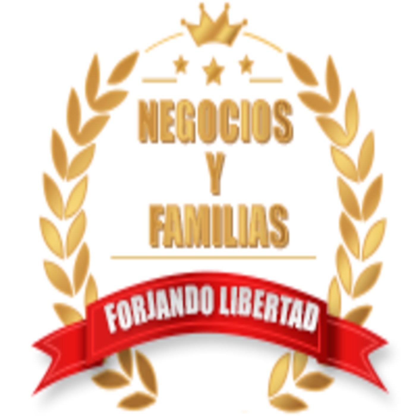 Equipo Momentum Next