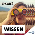 Gefiederte Affen - Über die Intelligenz von Krähen