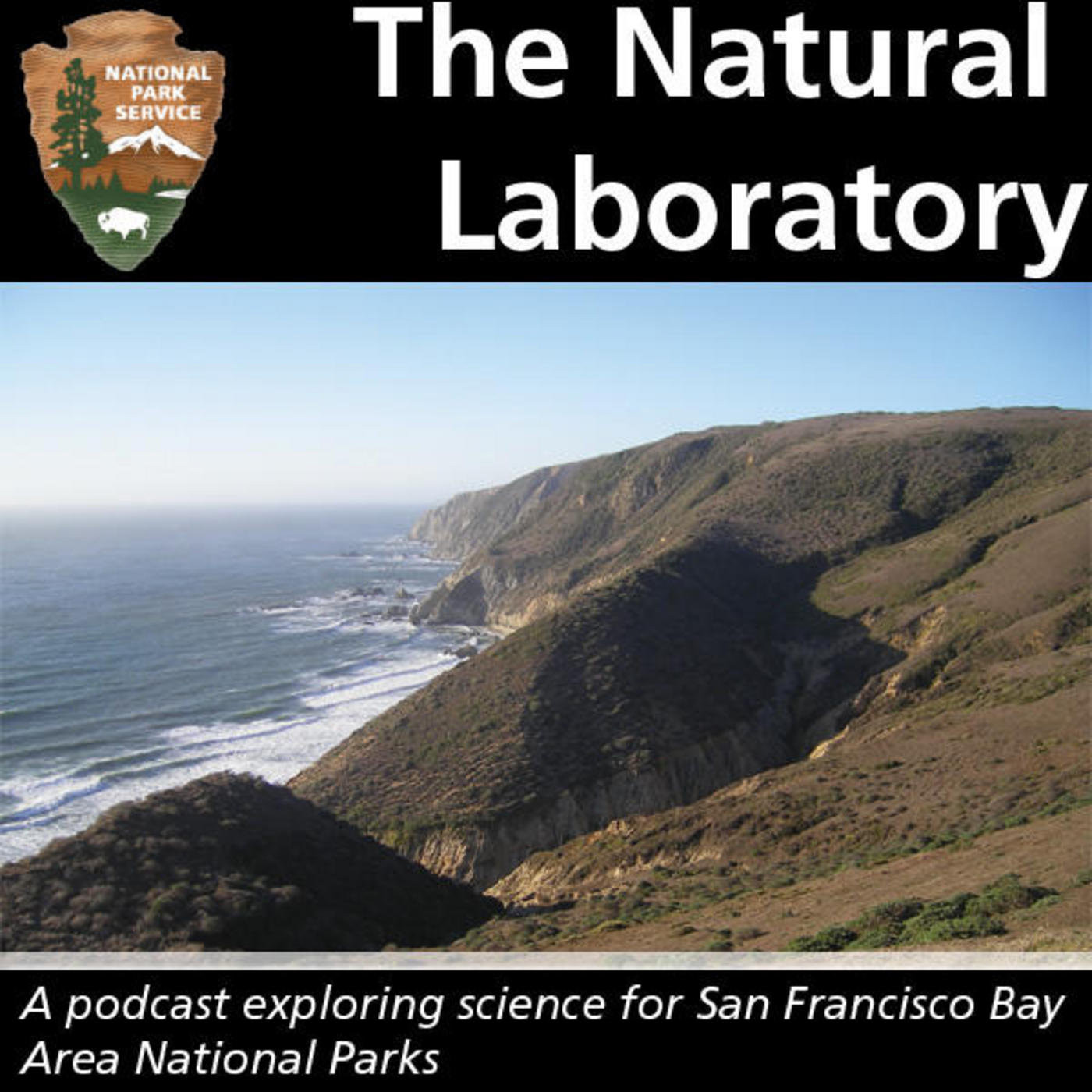Burning Ancient Life: The Geology of an Oil Reserve