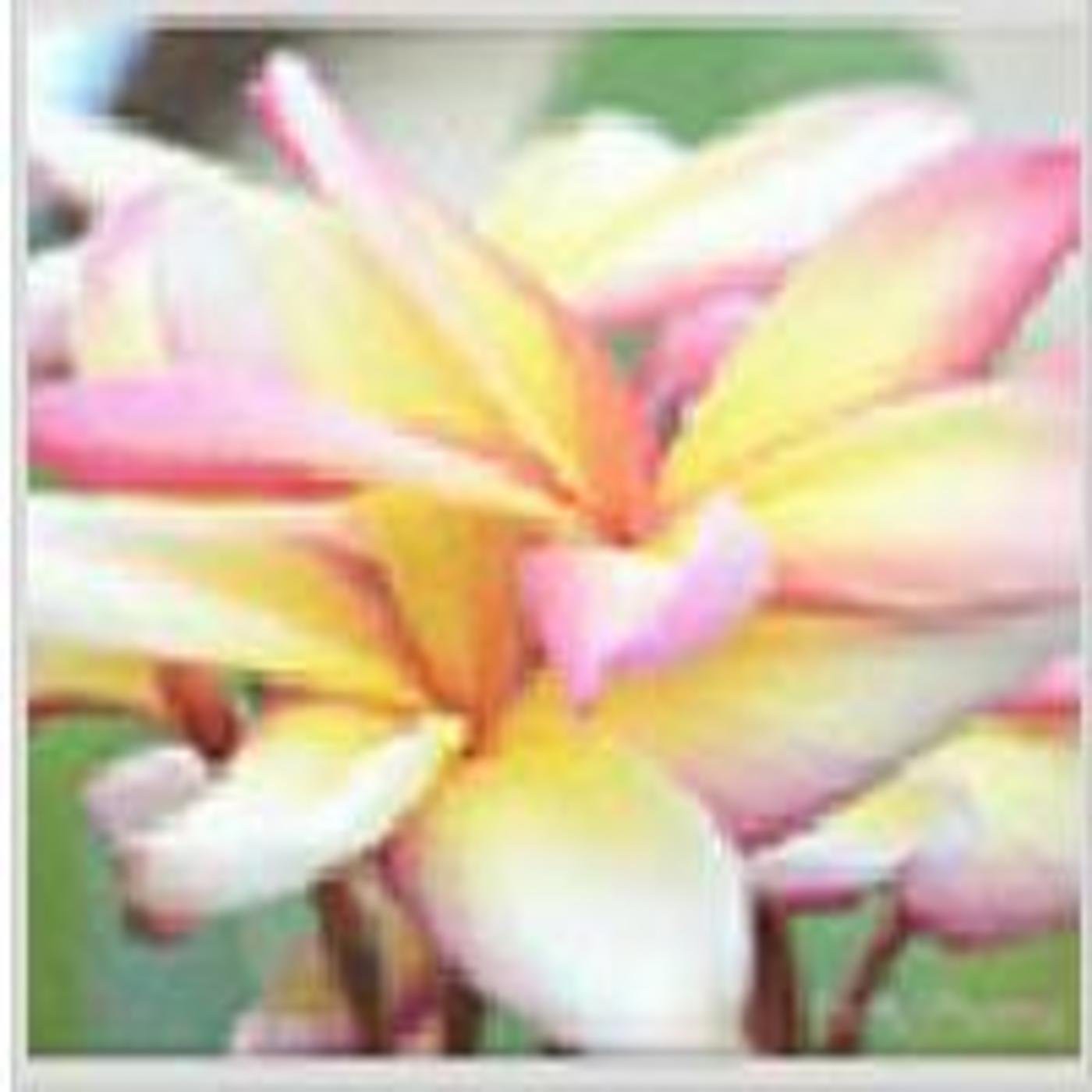 Podcast de pilarmarimon