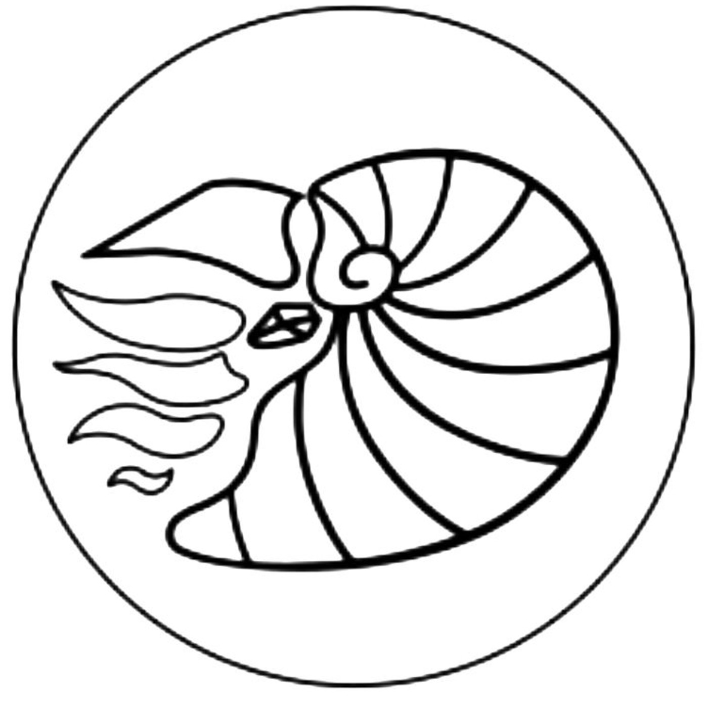 Conociendo los espacios