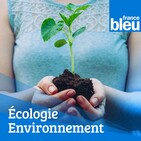 Bleu Nature
