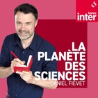 Une nouvelle expédition pour mesurer la quantité de plastiques en Méditerranée