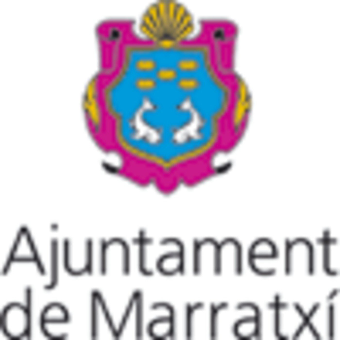 Eleccions municipals 2015