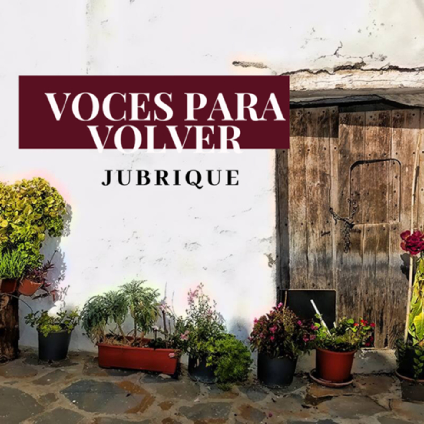 VOCES PARA VOLVER