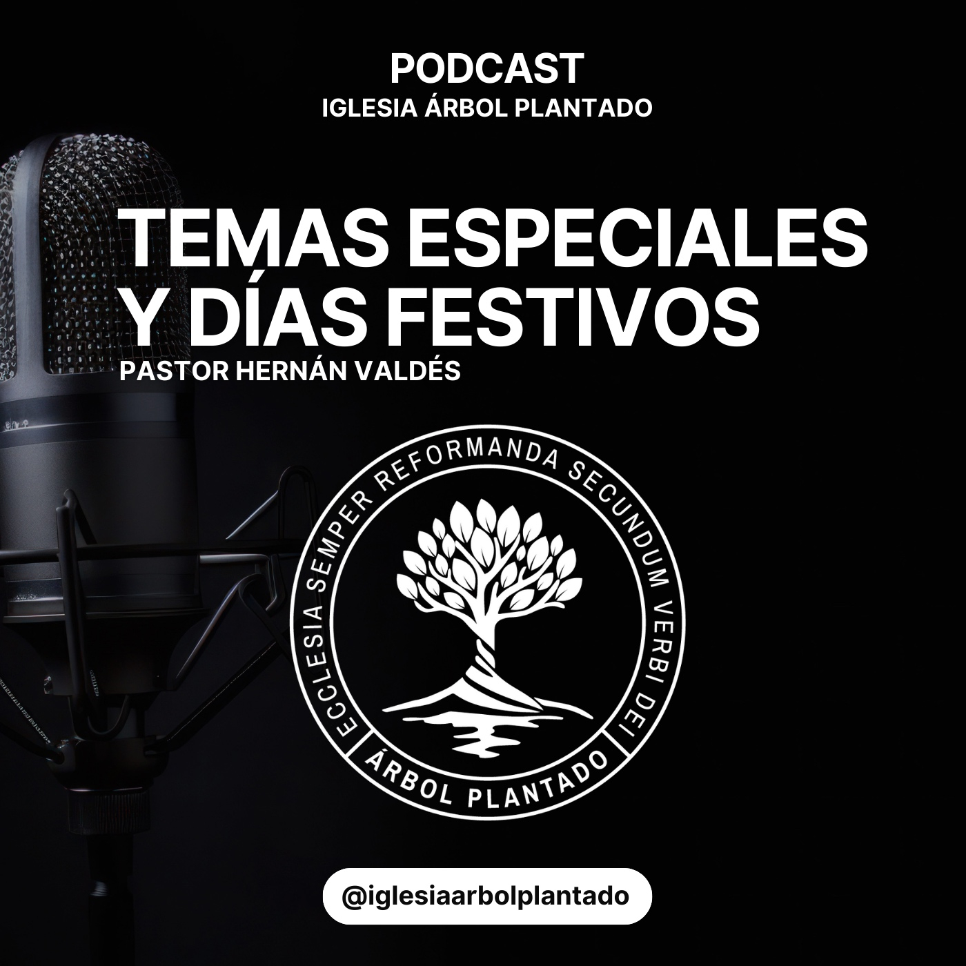 Temas especiales y Días festivos