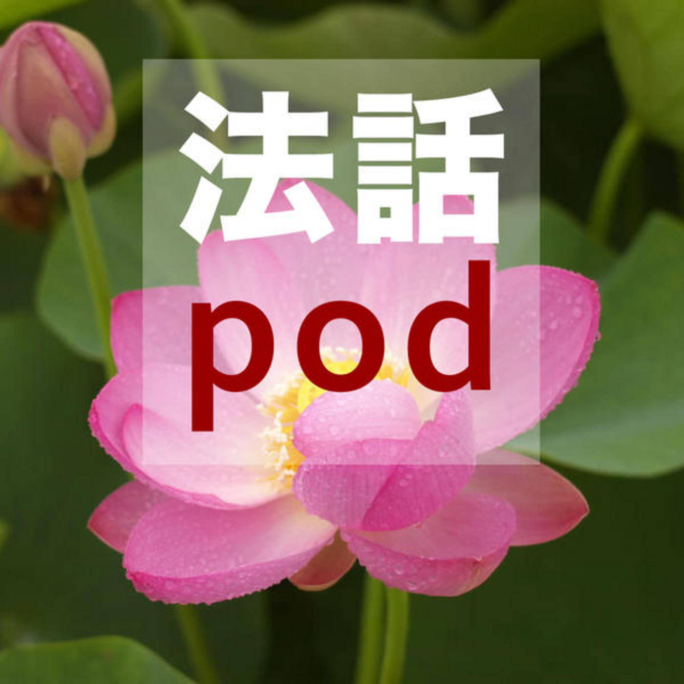 ??pod