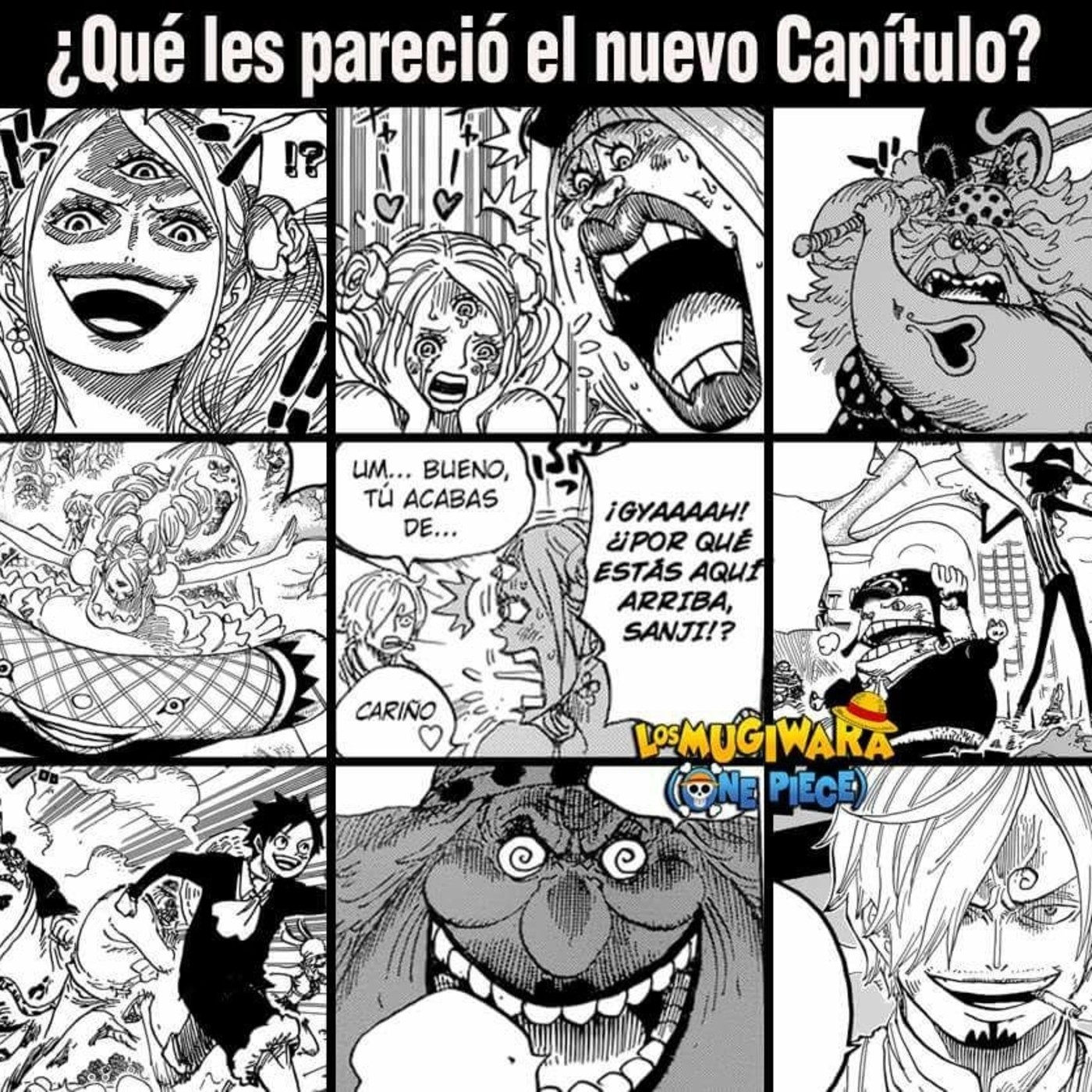 Capítulo 875 One Piece (Manga) - Análisis, debate y un poco más...