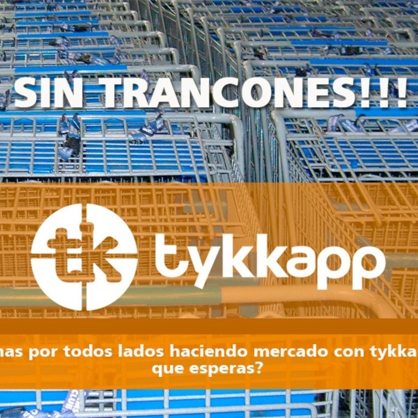 Formación TYKKAPP