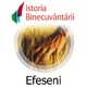 Efeseni Familie - Lectia 5
