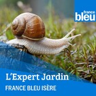 L'expert jardin