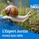 Préparation de la fructification