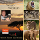 Walk in Sync with Alecia Evans