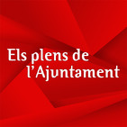 Plens Ajuntament