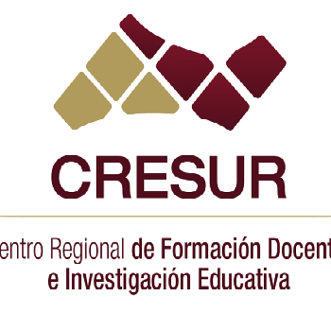 Profesor Siglo XXI