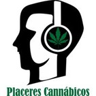 evolución #LeyAutocultivo - Legislativo y enfoque inicial proyectos