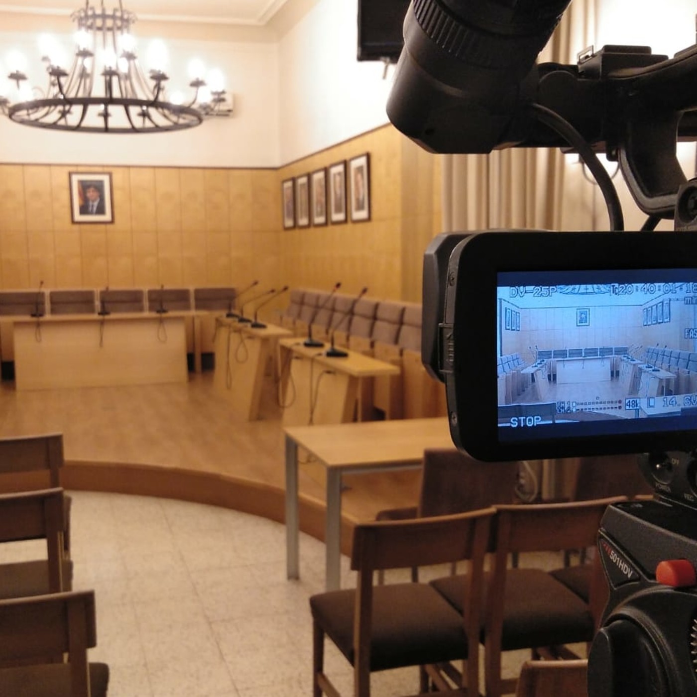 Plens municipals