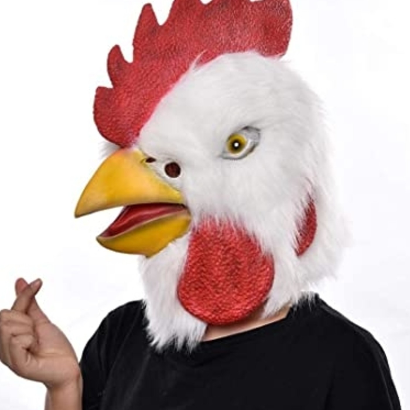 Los huevos del gallo