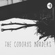 Codorus Murders - Revelations