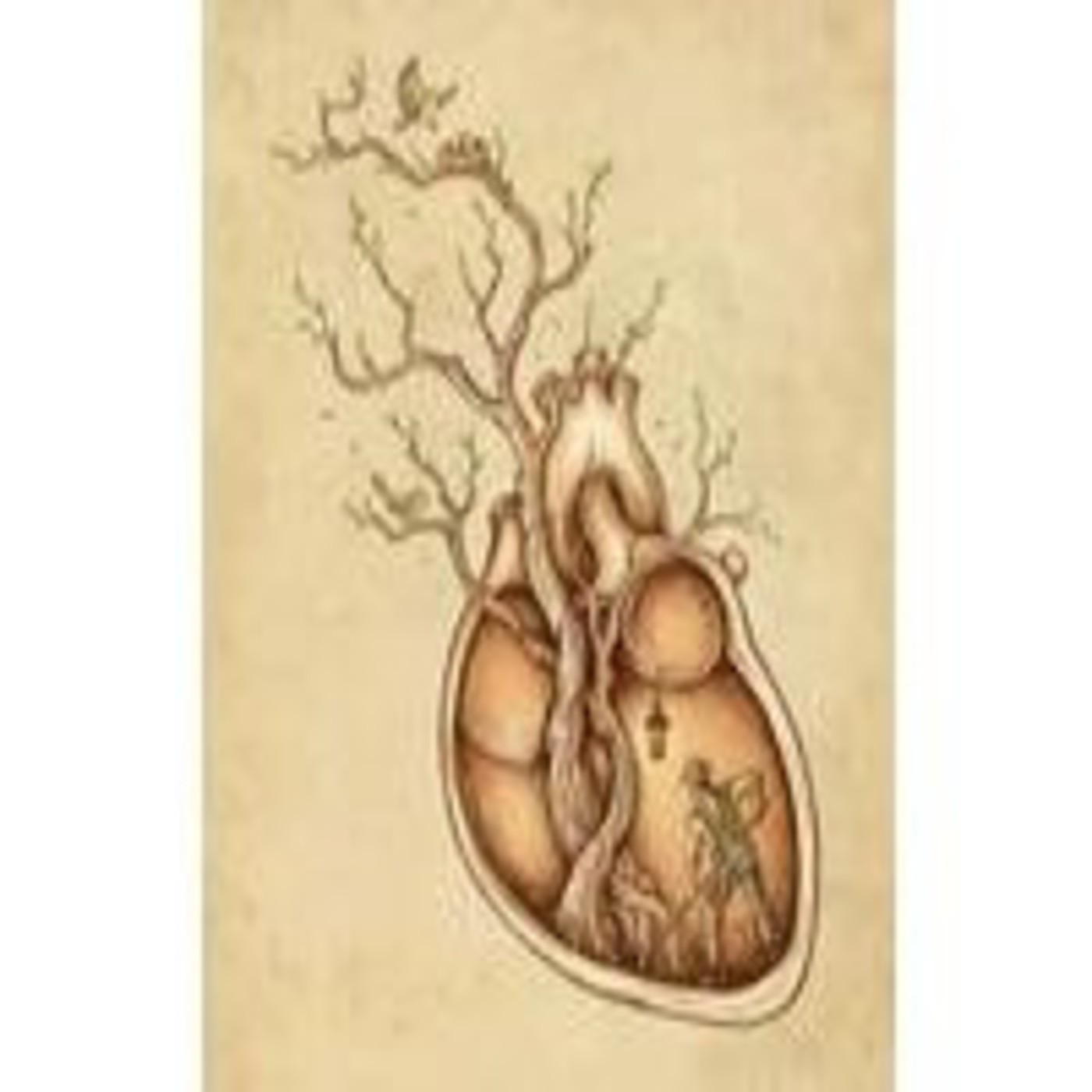 Iyolaltepeme El corazon de los pueblos
