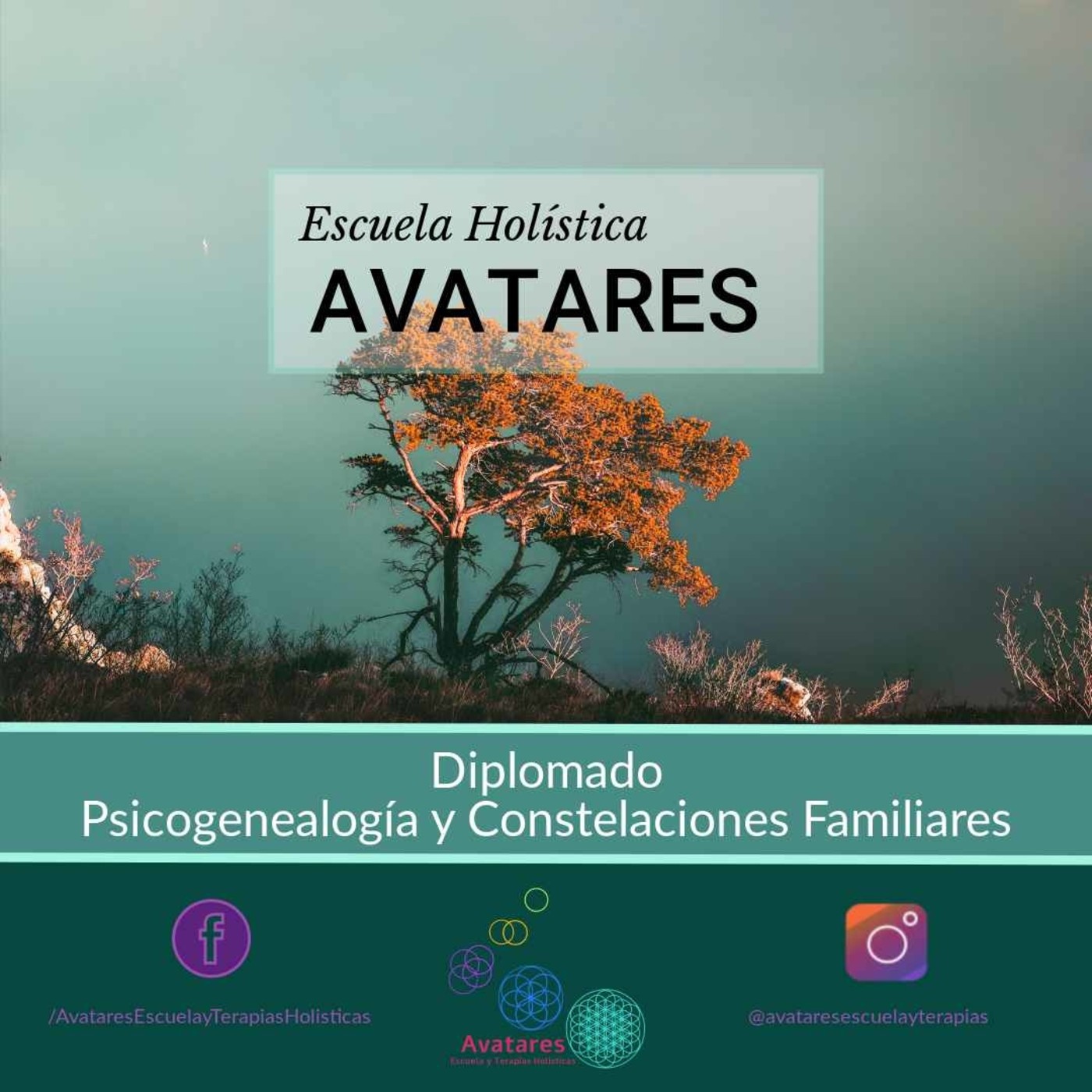 Clases Diplomado Psicogenealogía y Constelaciones 