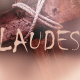embed image