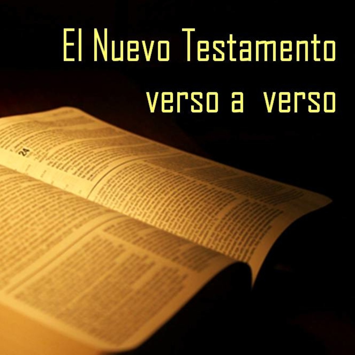 EL NUEVO TESTAMENTO VERSO A VERSO