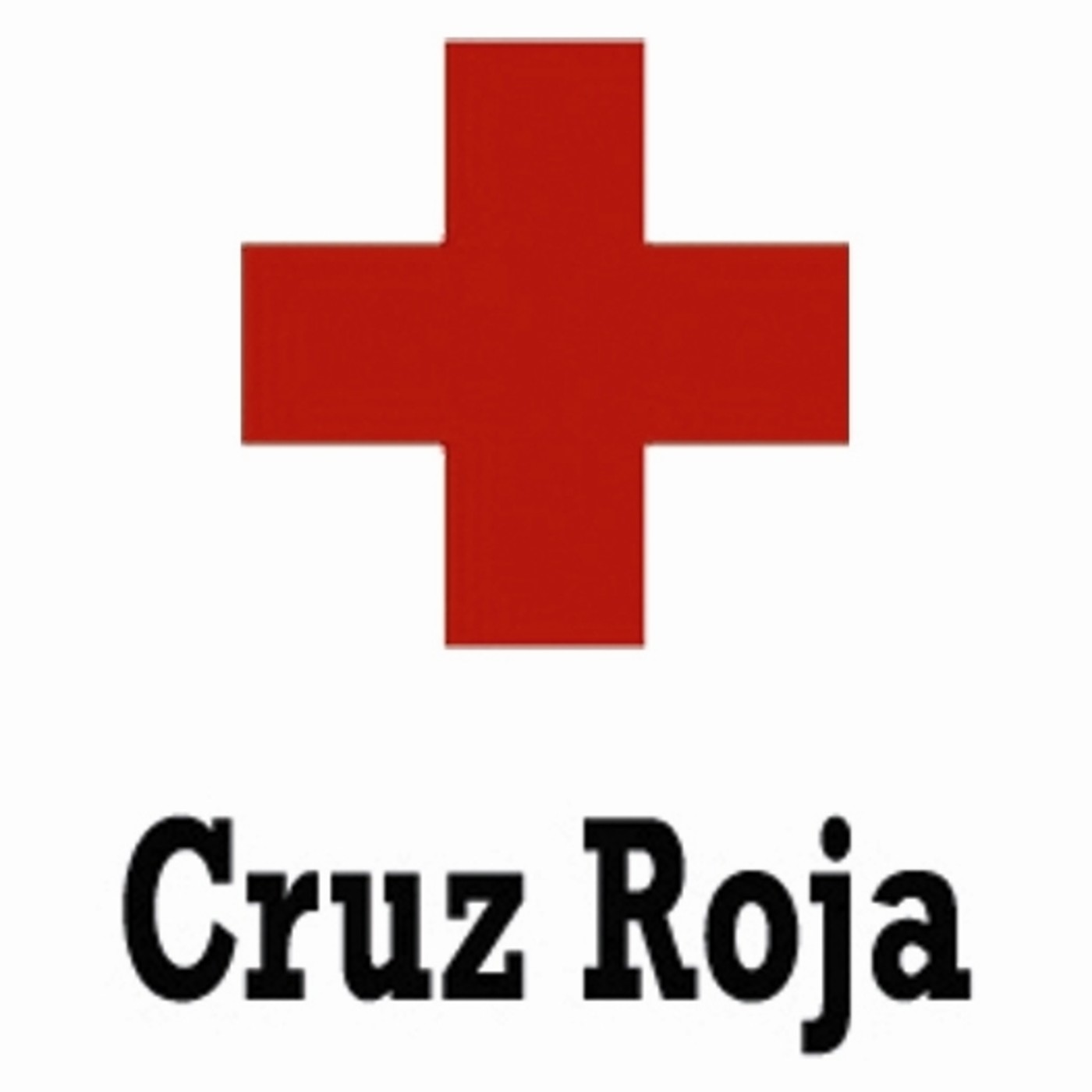 Cruz Roja Española en Castilla y León