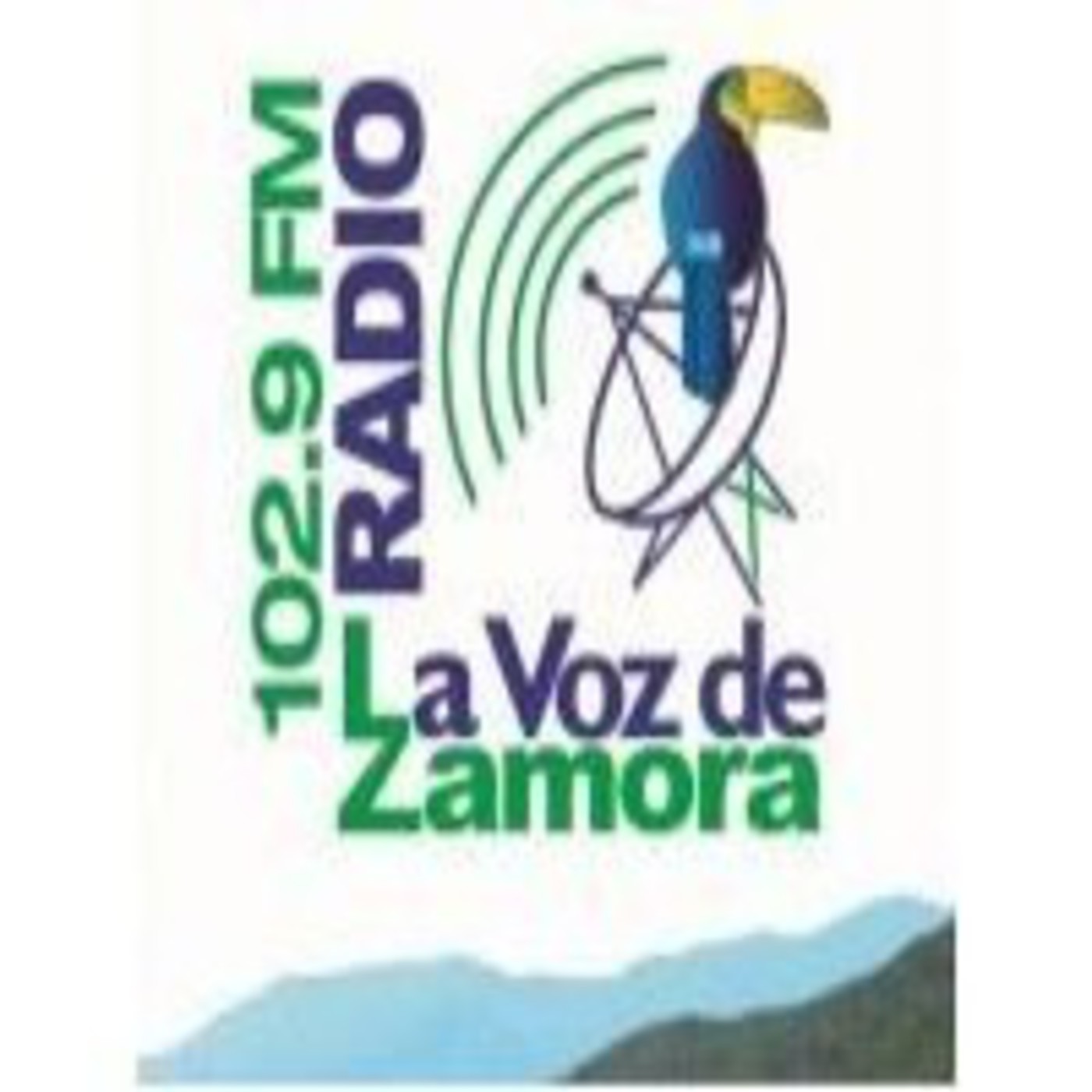 SANTO DEL DIA