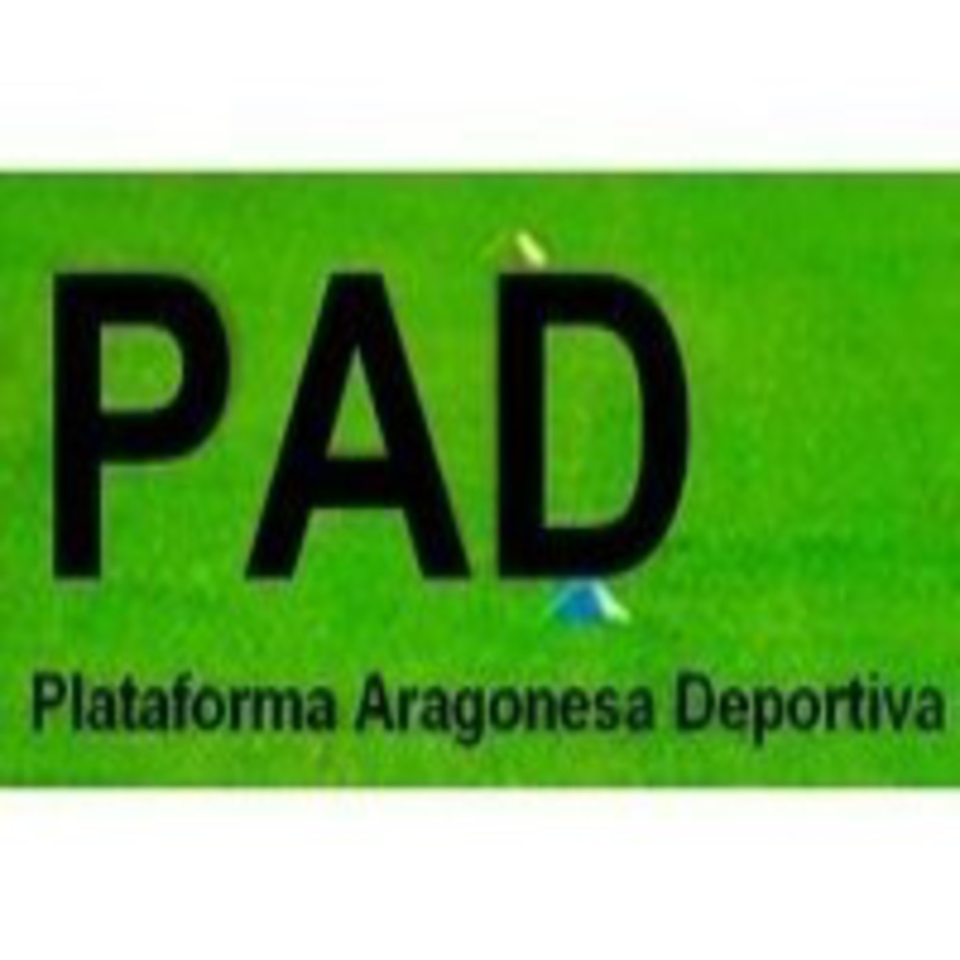 PAD (TEMPORADA 2012-2013)