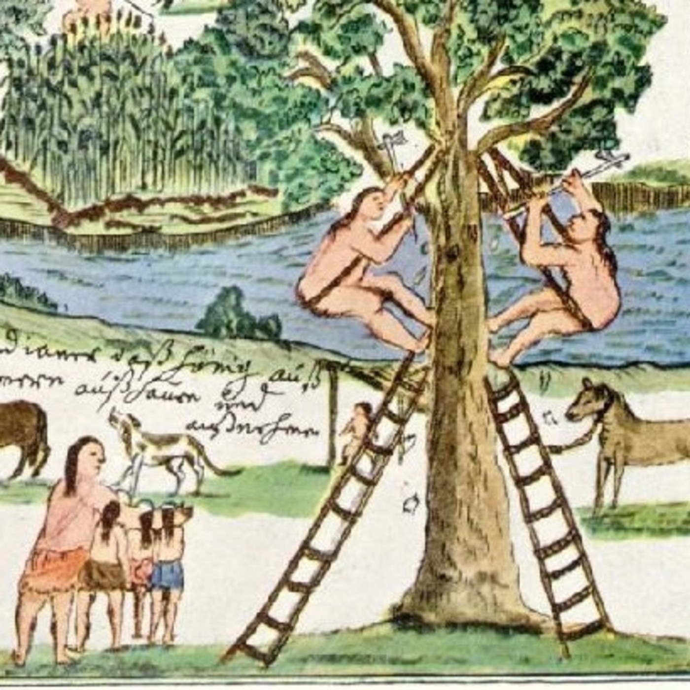 estudiosdeliteratura