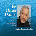 The Ocean Doctor – ABOARD THE CAPE TO CAPE EXPEDITION: AMAZING JOBS AT THE BOTTOM OF THE PLANET