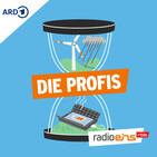Die Profis vom 12.01.2019