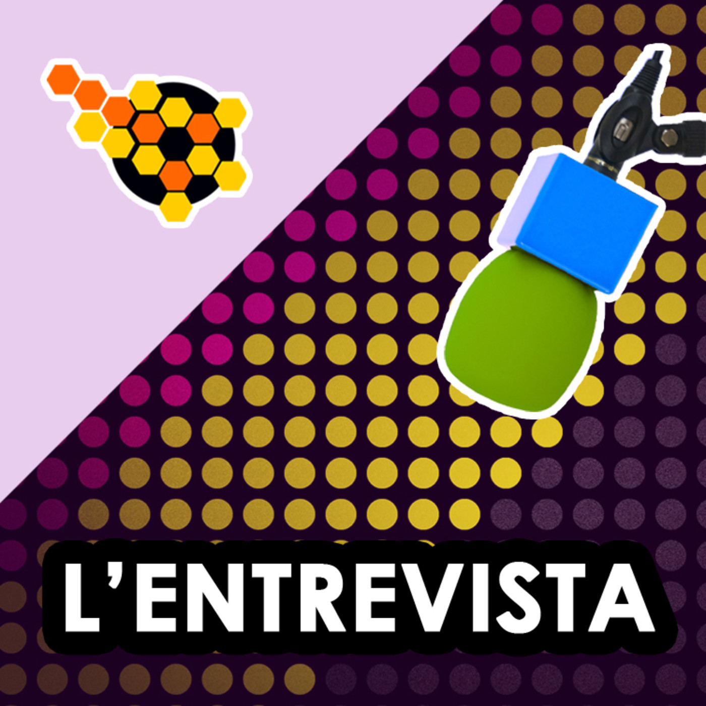 Entrevistes