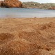 Improvisació oral Núria