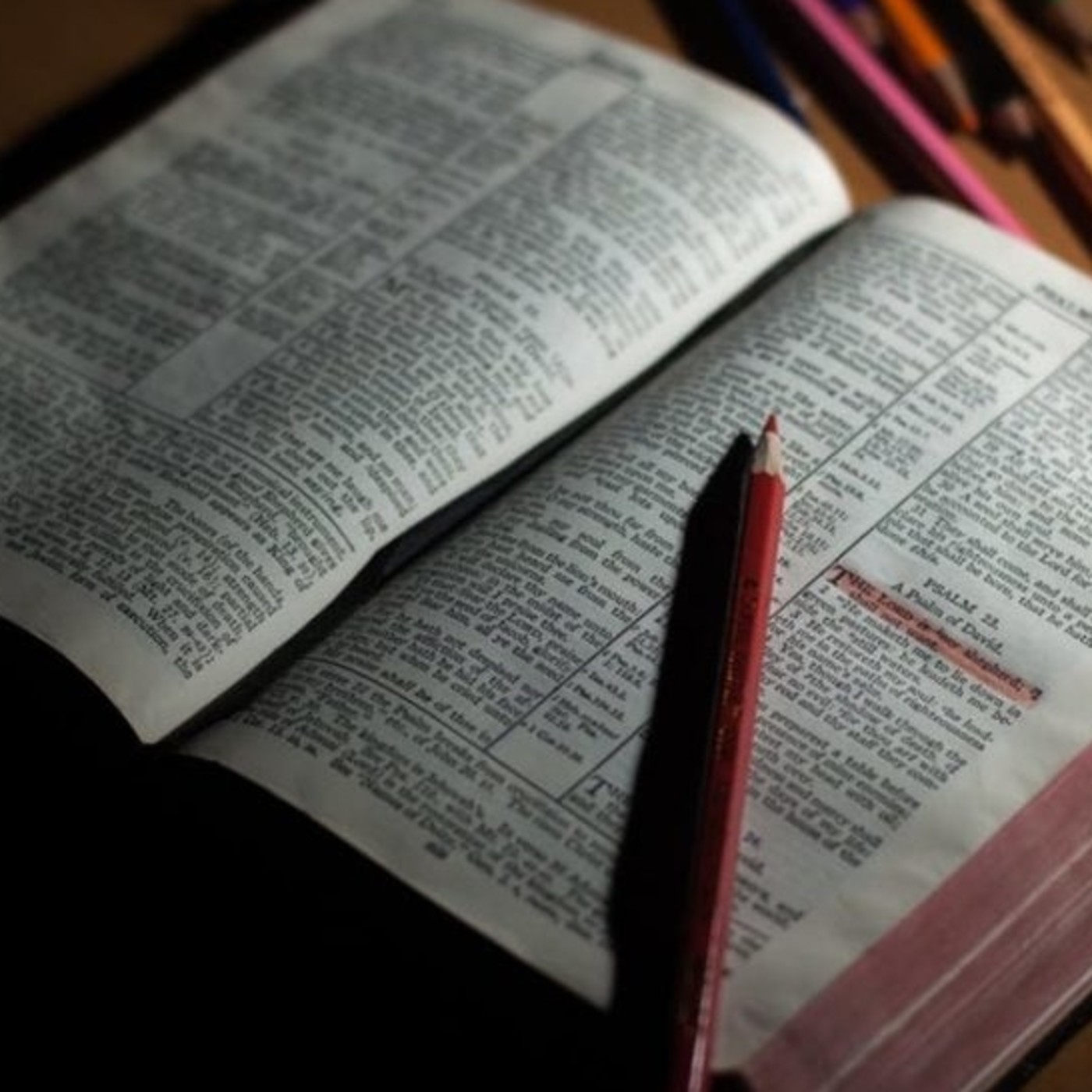 Predicas y Estudios Bíblicos