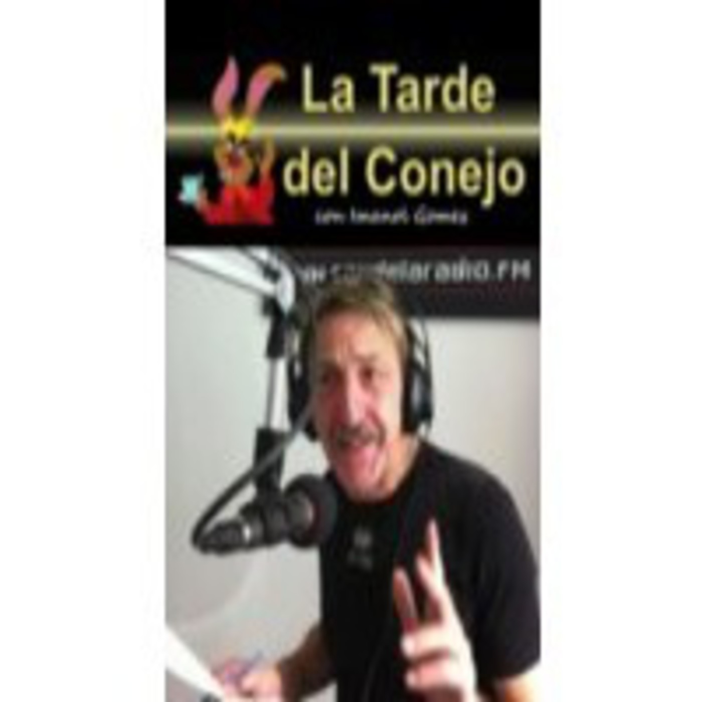 LA TARDE DEL CONEJO