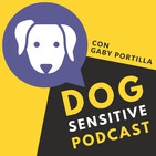 E7. Visitas al veterinario ¡de miedo!