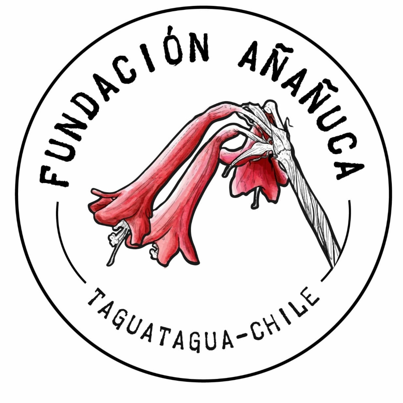 49 Feria Científica Nacional Juvenil