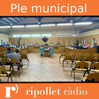 Ple Municipal