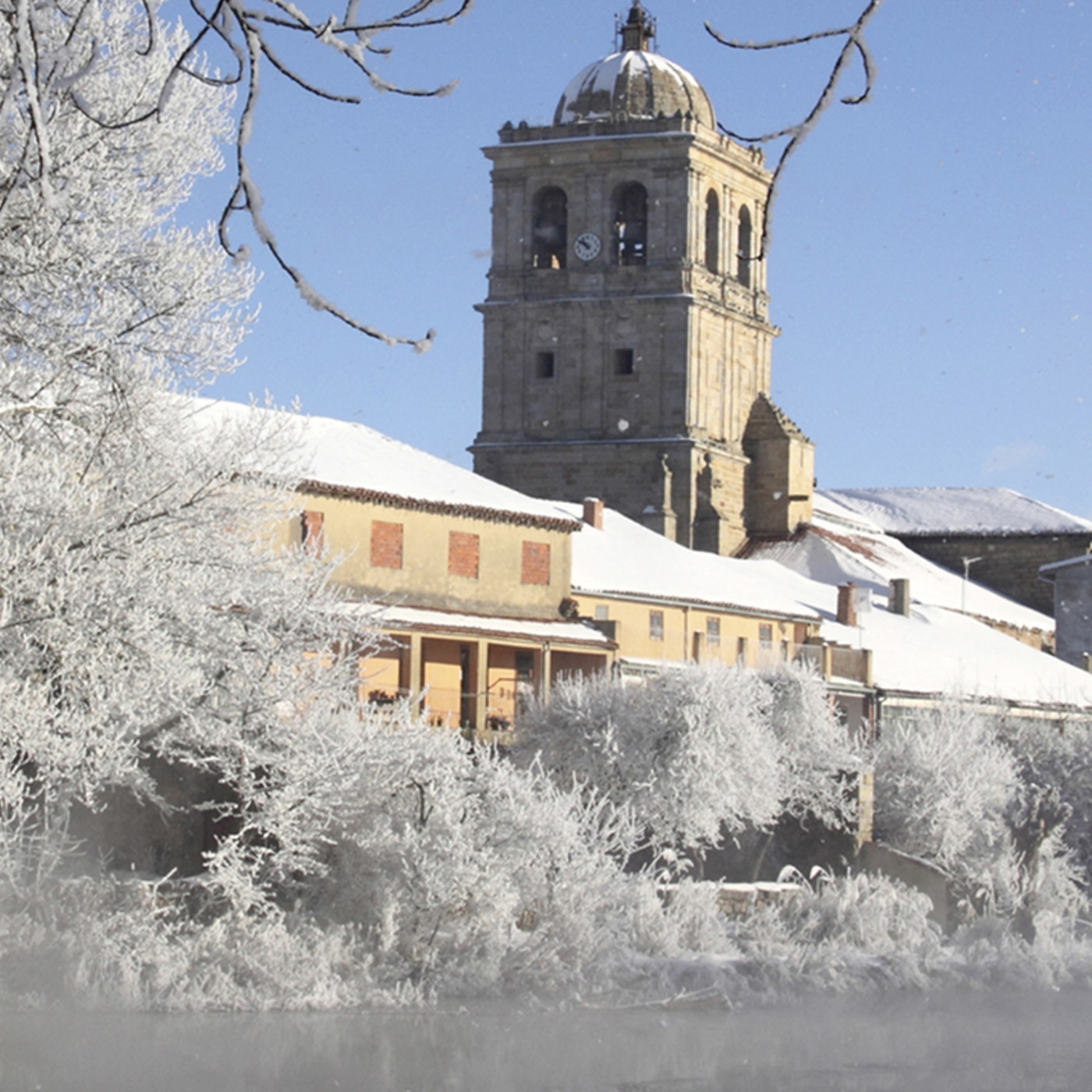 Enrique Bravo Robles
