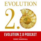 Ken Wilbur, Involution, and Evolution as a Function of the Divine: Frank Visser and Perry Marshall in Conversation